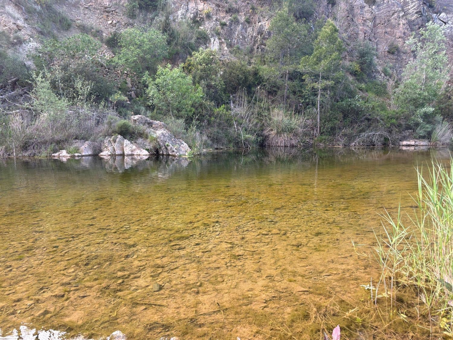 2 soveværelse Finca/Landehus til salg i El Masroig med swimmingpool garage - € 85.000 (Ref: 9248501)