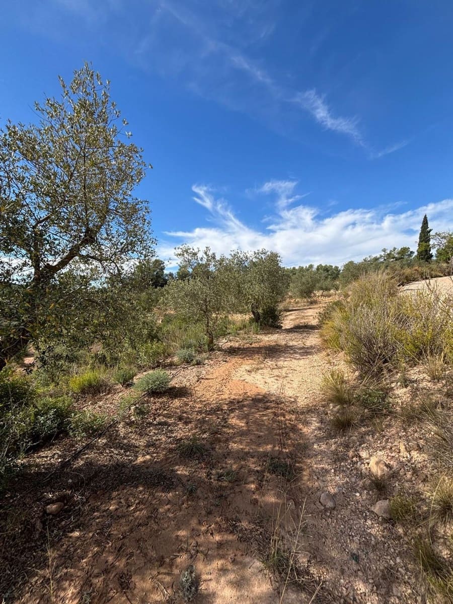 Mark till salu i Bovera - 60 000 € (Ref: 9371263)