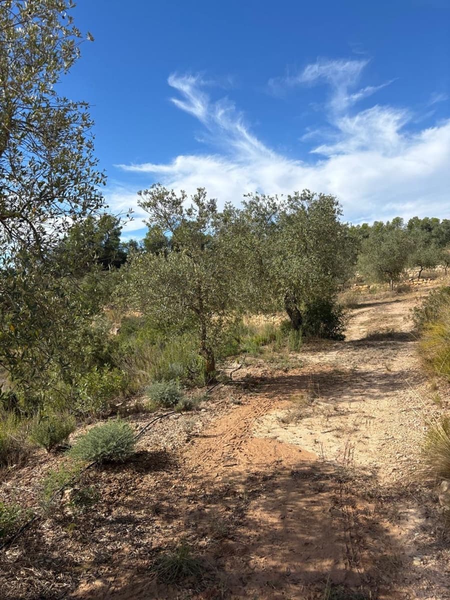 Mark till salu i Bovera - 60 000 € (Ref: 9371263)