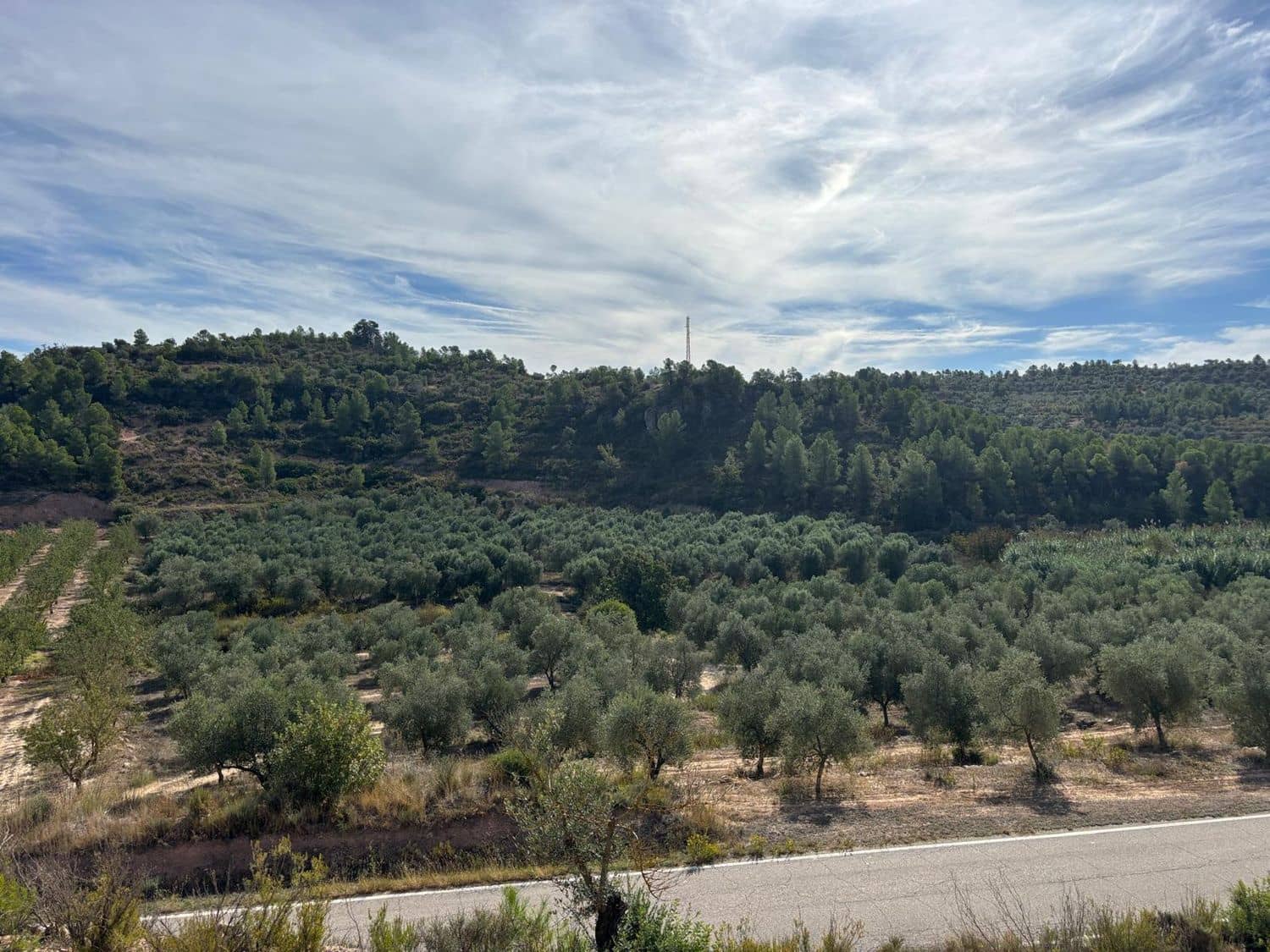 Mark till salu i Bovera - 60 000 € (Ref: 9371263)