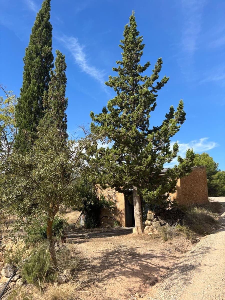 Mark till salu i Bovera - 60 000 € (Ref: 9371263)