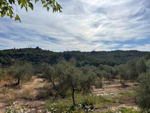 Mark till salu i Bovera - 60 000 € (Ref: 9371263)