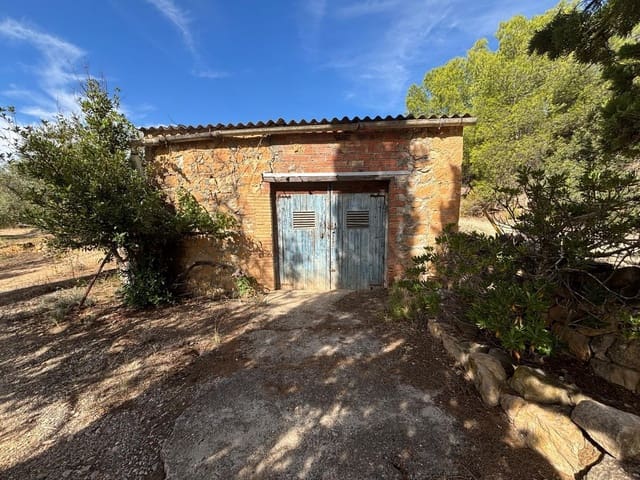 Mark till salu i Bovera - 60 000 € (Ref: 9371263)