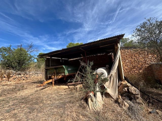 Mark till salu i Bovera - 60 000 € (Ref: 9371263)