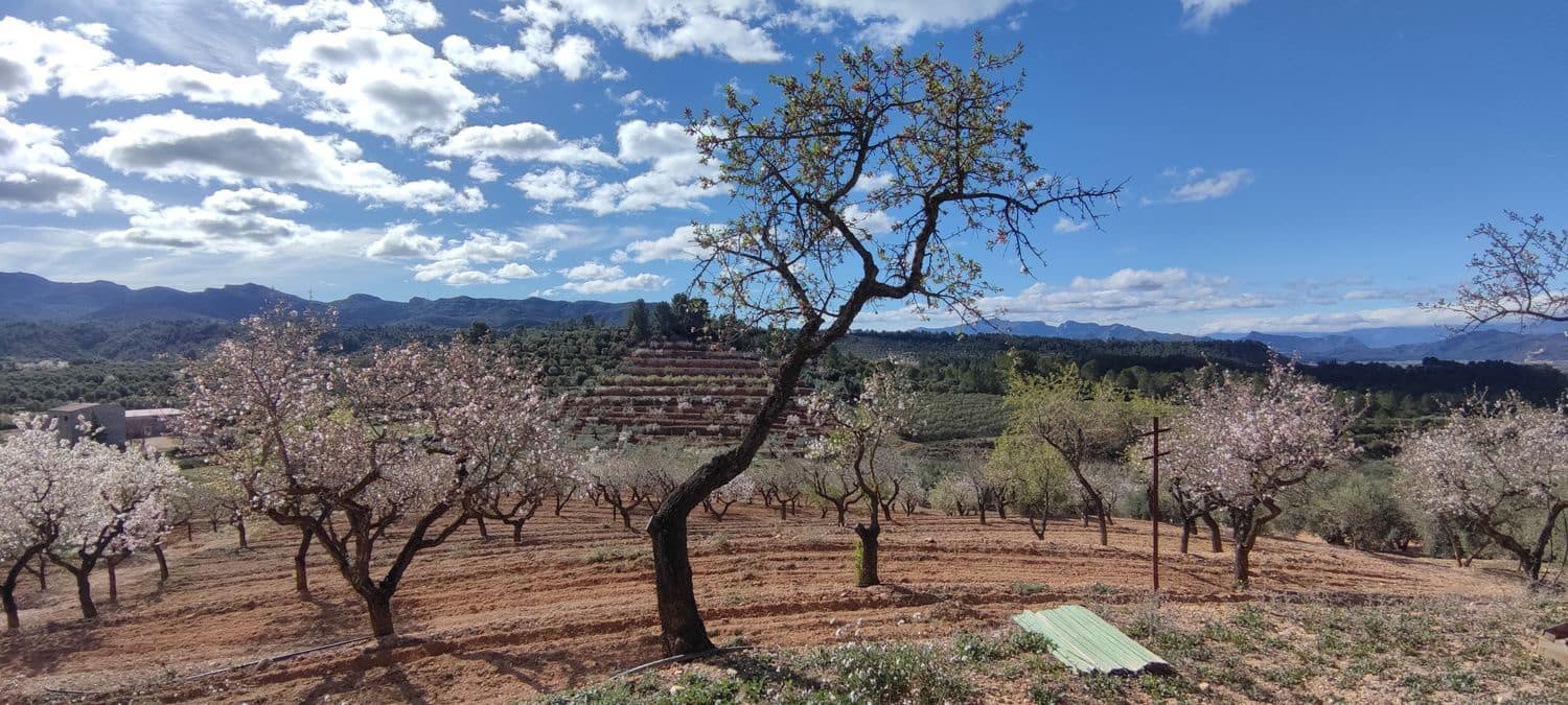 2 bedroom Finca/Country House for sale in Tivissa with garage - € 55,000 (Ref: 9371266)