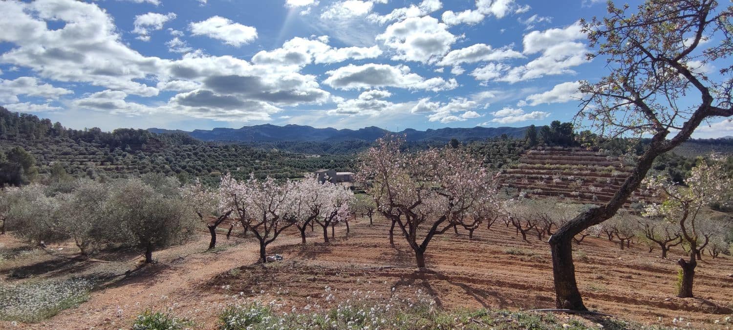 2 bedroom Finca/Country House for sale in Tivissa with garage - € 55,000 (Ref: 9371266)