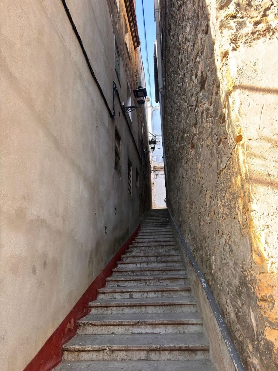 9 bedroom Finca/Country House for sale in Flix with garage - € 35,000 (Ref: 9533254)