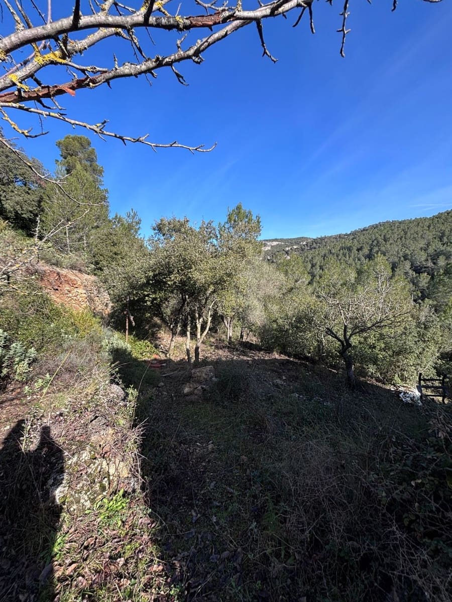 1 bedroom Finca/Country House for sale in Tivissa with garage - € 15,000 (Ref: 9560953)