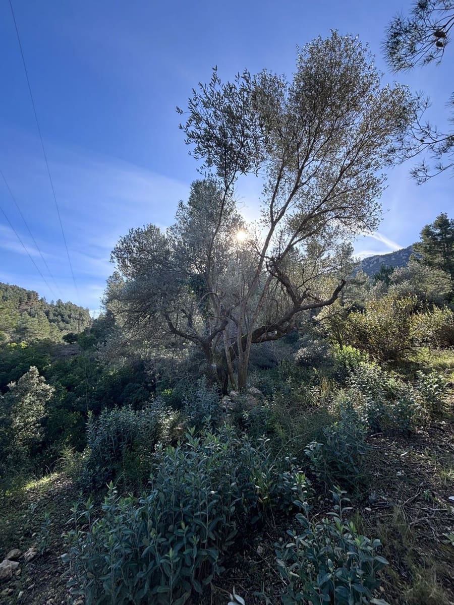 1 bedroom Finca/Country House for sale in Tivissa with garage - € 15,000 (Ref: 9560953)