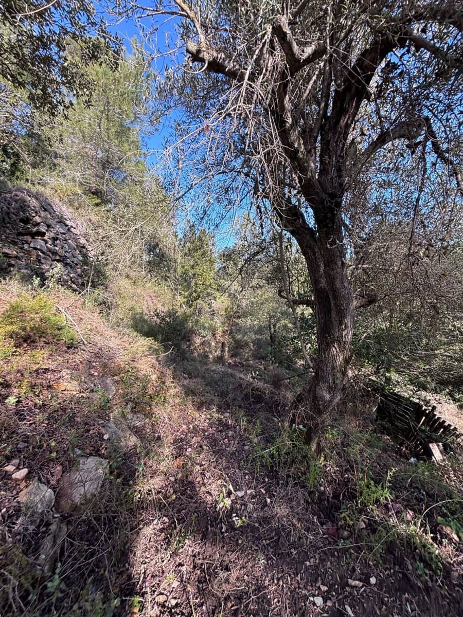 1 bedroom Finca/Country House for sale in Tivissa with garage - € 15,000 (Ref: 9560953)