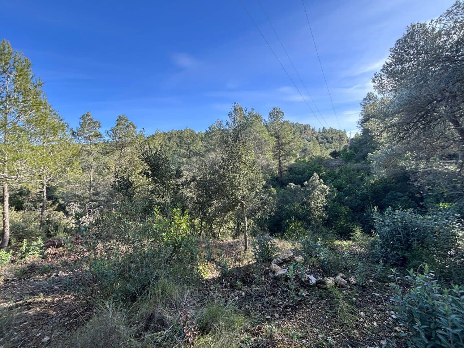 1 bedroom Finca/Country House for sale in Tivissa with garage - € 15,000 (Ref: 9560953)