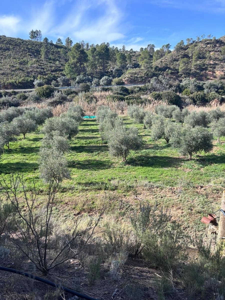 1 quarto Quinta/Casa Rural para venda em Flix com garagem - 29 000 € (Ref: 9629670)