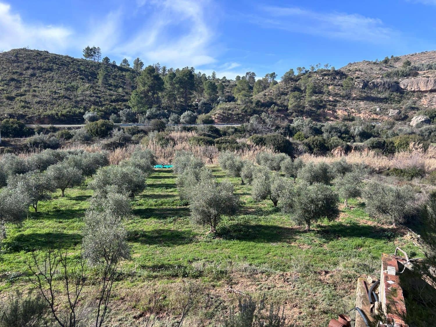 1 quarto Quinta/Casa Rural para venda em Flix com garagem - 29 000 € (Ref: 9629670)