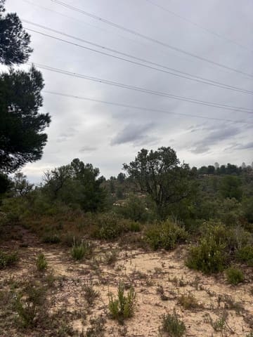 Undeveloped Land for sale in Ascó - € 6,000 (Ref: 9629671)