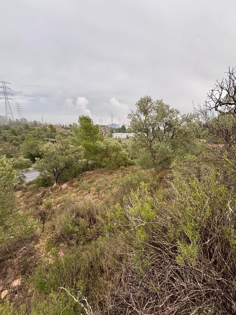 Undeveloped Land for sale in Asco - € 6,000 (Ref: 9629671)
