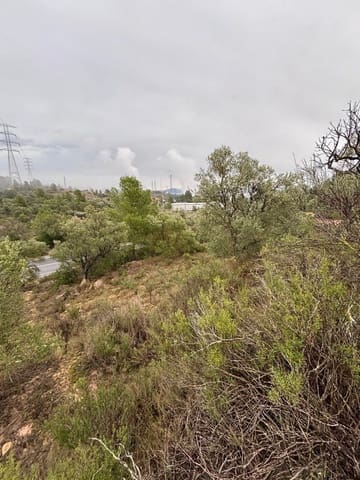 Undeveloped Land for sale in Ascó - € 6,000 (Ref: 9629671)