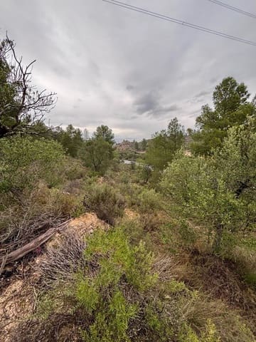 Undeveloped Land for sale in Ascó - € 6,000 (Ref: 9629671)