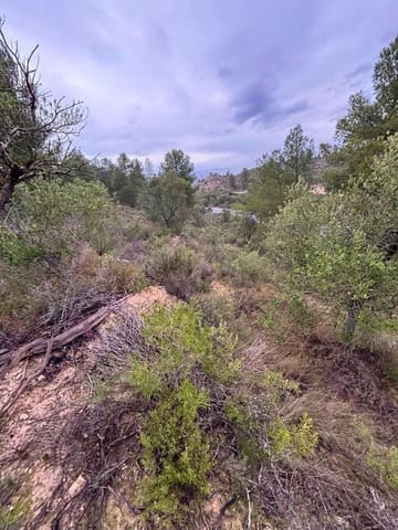 Undeveloped Land for sale in Ascó - € 6,000 (Ref: 9629671)