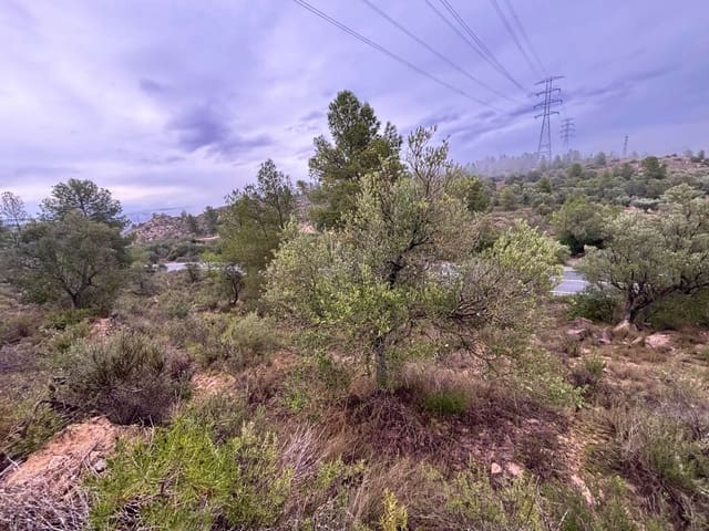 Undeveloped Land for sale in Ascó - € 6,000 (Ref: 9629671)