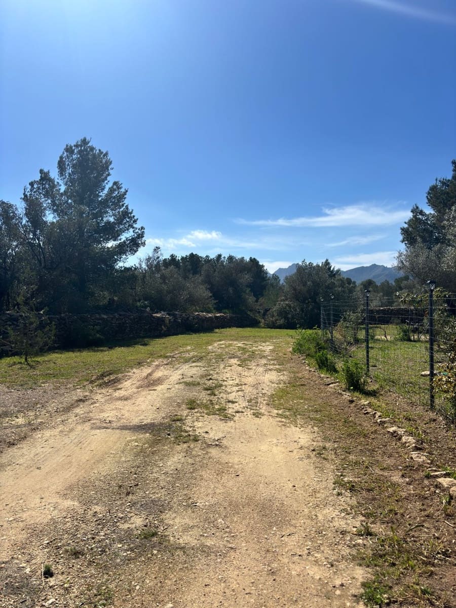 Undeveloped Land for sale in Ginestar - € 38,000 (Ref: 9704453)