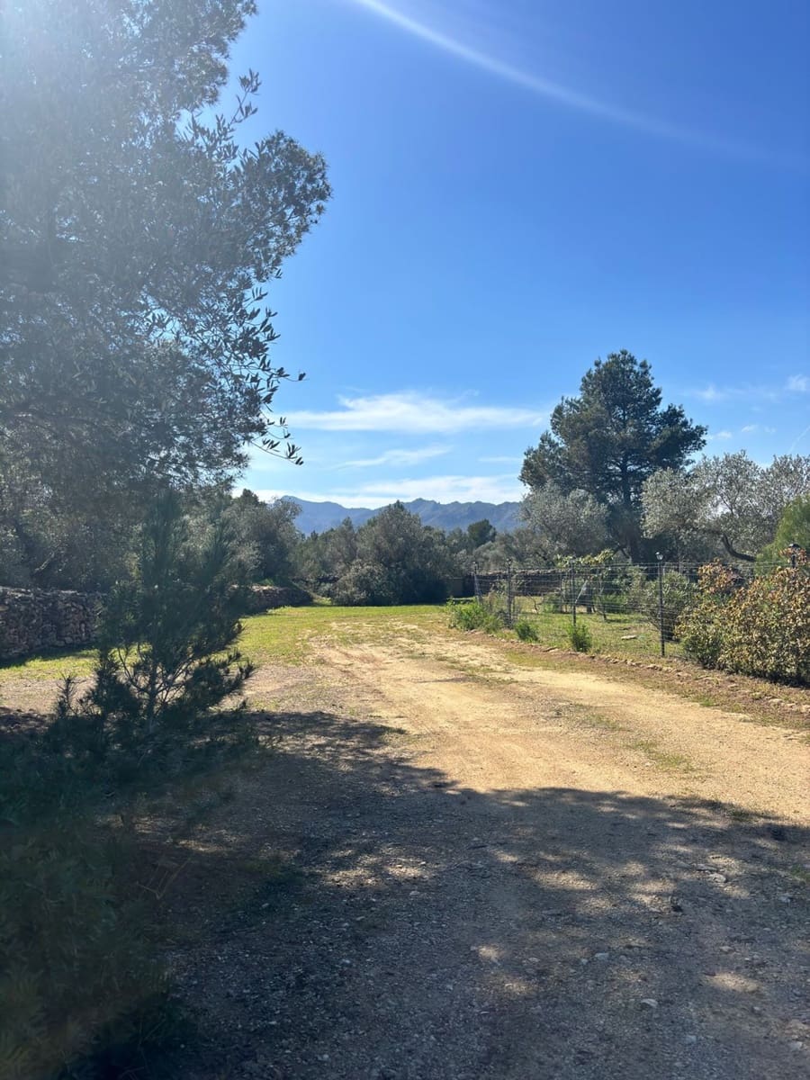 Undeveloped Land for sale in Ginestar - € 38,000 (Ref: 9704453)