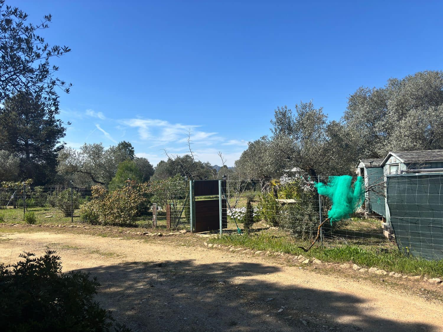 Undeveloped Land for sale in Ginestar - € 38,000 (Ref: 9704453)