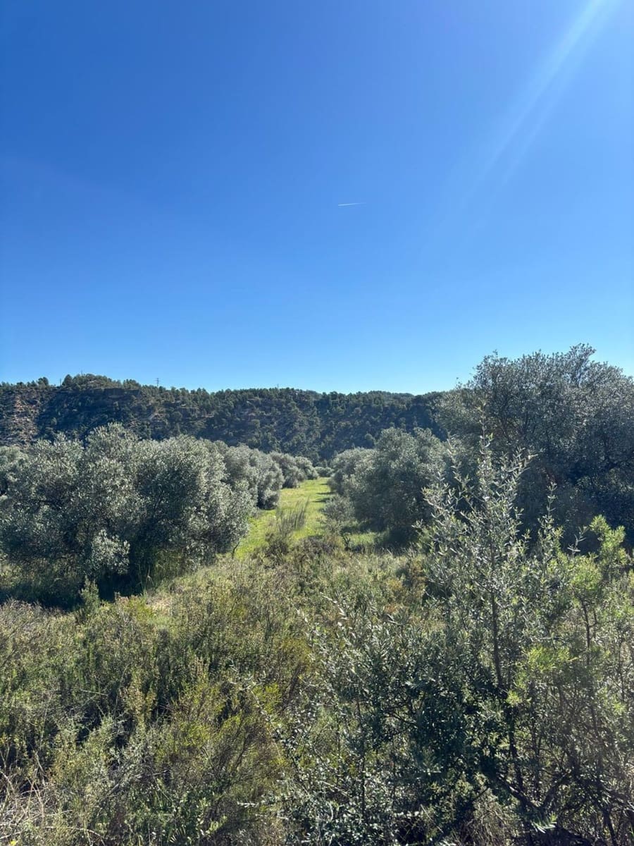 Ubebygd land til salgs i Flix - € 9 000 (Ref: 9793912)