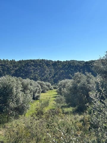 Ubebygd land til salgs i Flix - € 9 000 (Ref: 9793912)