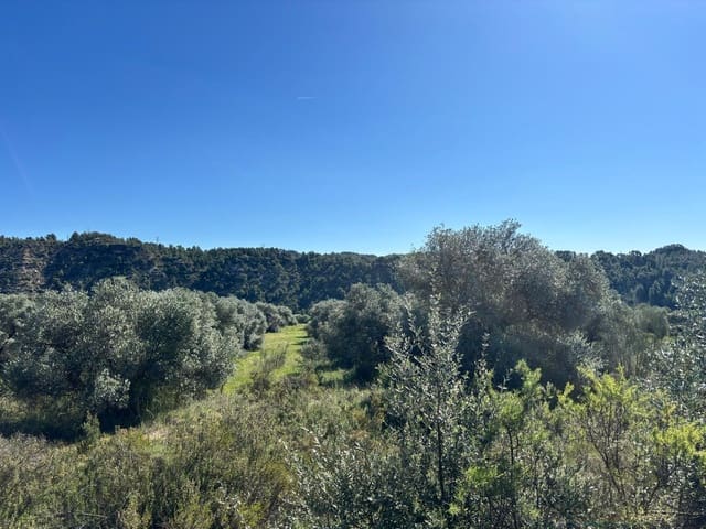 Ubebygd land til salgs i Flix - € 9 000 (Ref: 9793912)