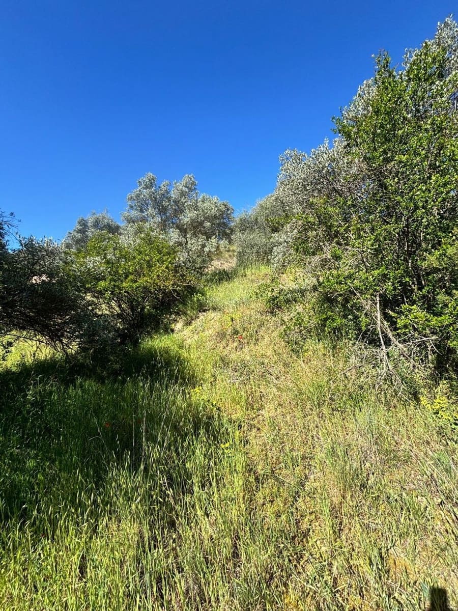 Ubebygd land til salgs i Flix - € 9 000 (Ref: 9793912)