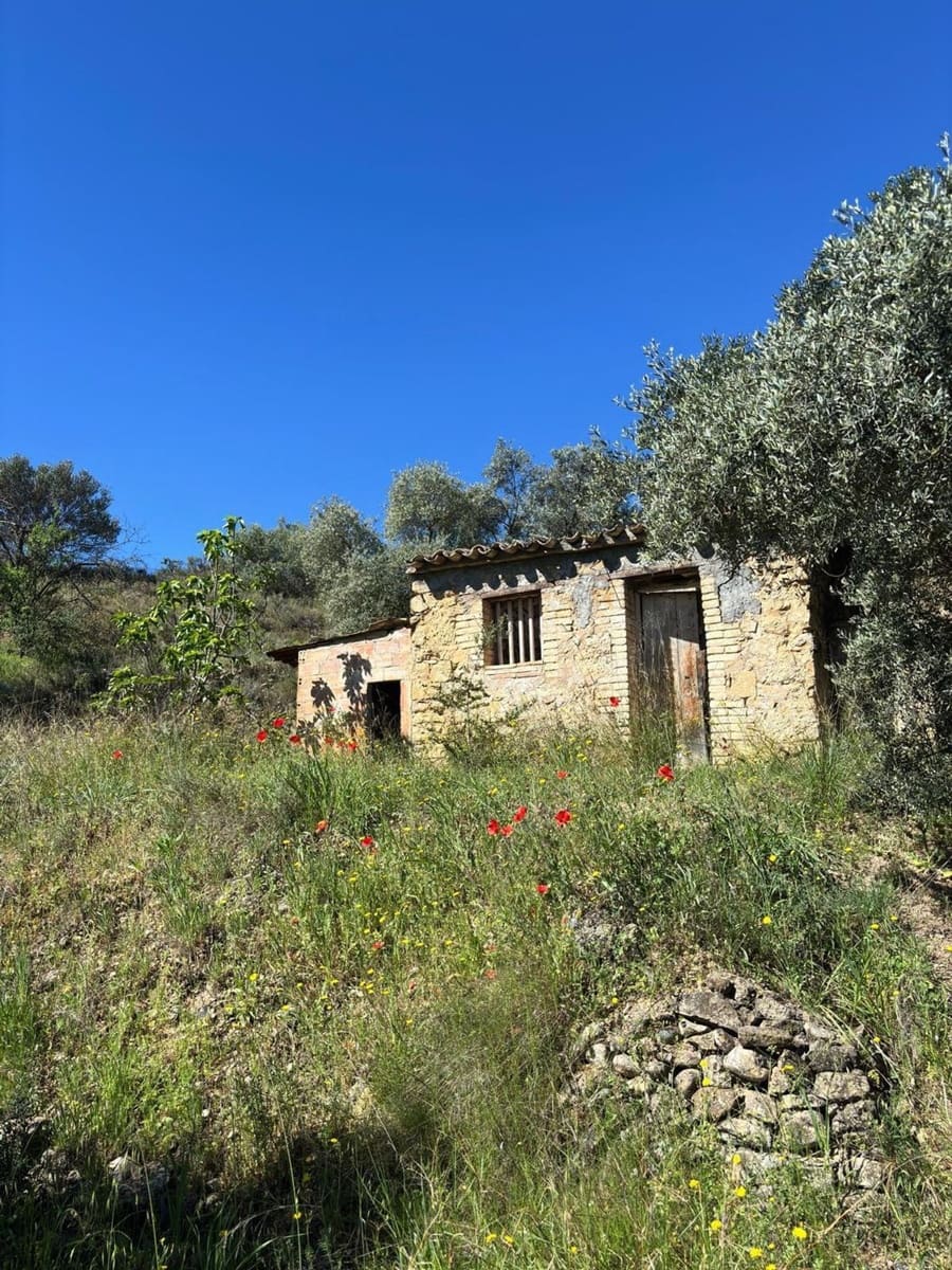 Ubebygd land til salgs i Flix - € 9 000 (Ref: 9793912)