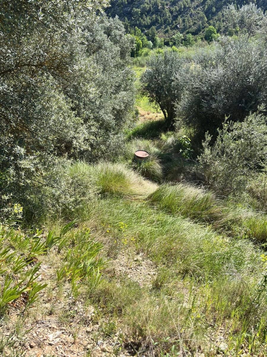 Ubebygd land til salgs i Flix - € 9 000 (Ref: 9793912)