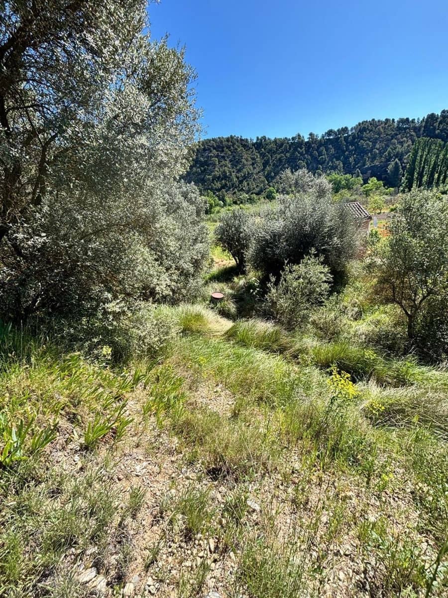 Ubebygd land til salgs i Flix - € 9 000 (Ref: 9793912)