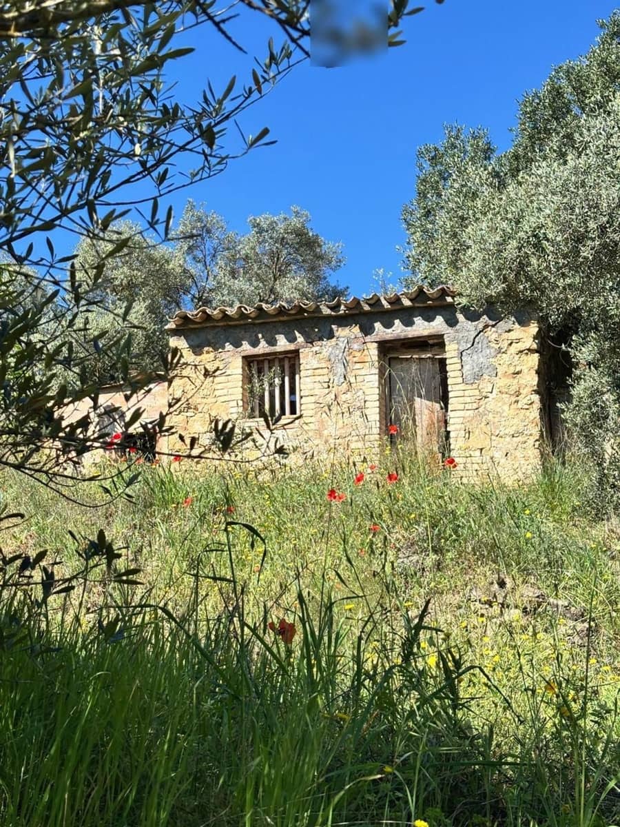 Ubebygd land til salgs i Flix - € 9 000 (Ref: 9793912)