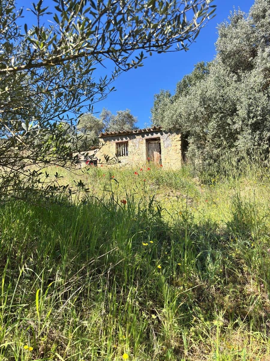 Ubebygd land til salgs i Flix - € 9 000 (Ref: 9793912)