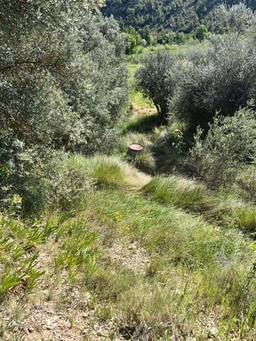 Ubebygd land til salgs i Flix - € 9 000 (Ref: 9793912)