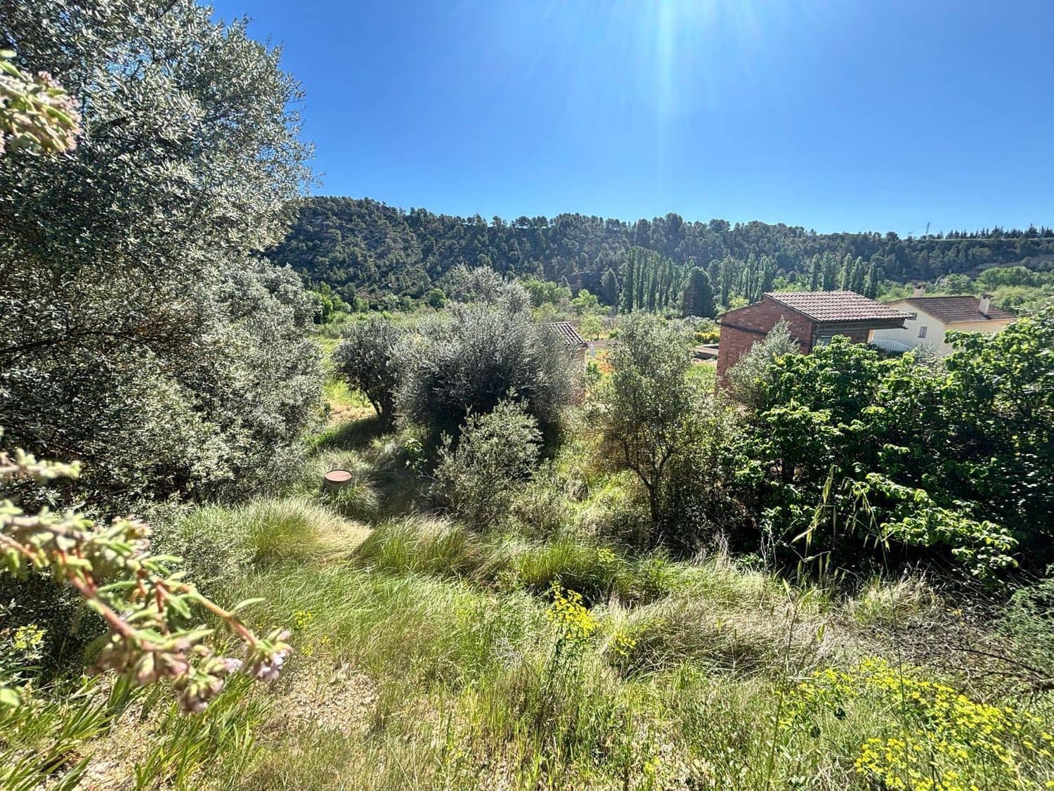 Ubebygd land til salgs i Flix - € 9 000 (Ref: 9793912)