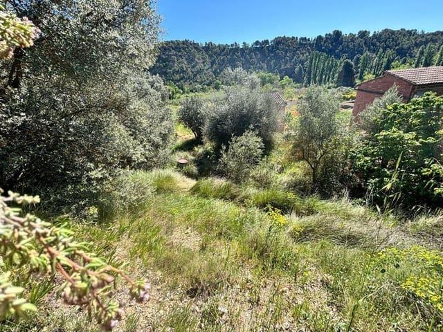 Ubebygd land til salgs i Flix - € 9 000 (Ref: 9793912)