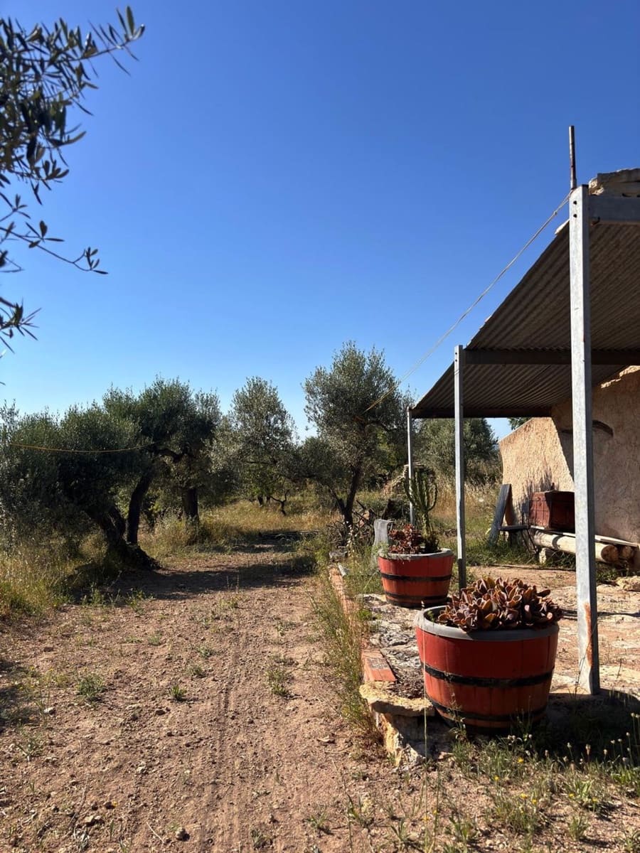 Teren niezagospodarowany na sprzedaż w Tivissa - 33 000 € (Ref: 9870586)