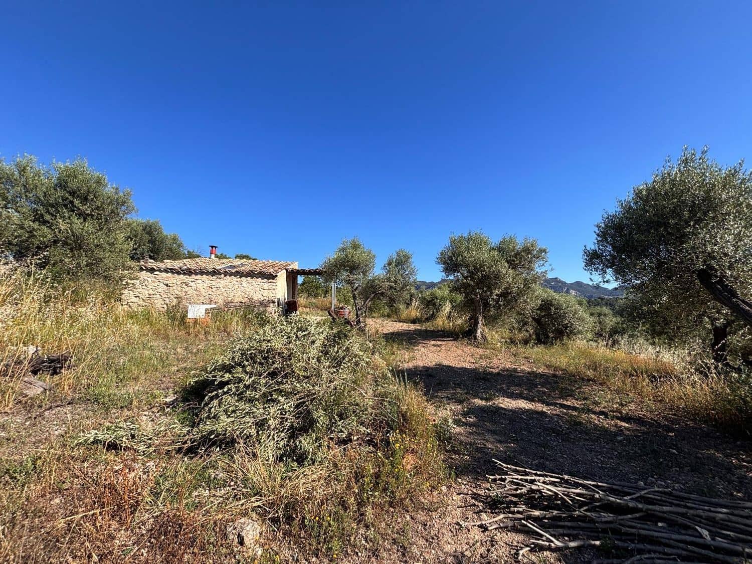 Teren niezagospodarowany na sprzedaż w Tivissa - 33 000 € (Ref: 9870586)
