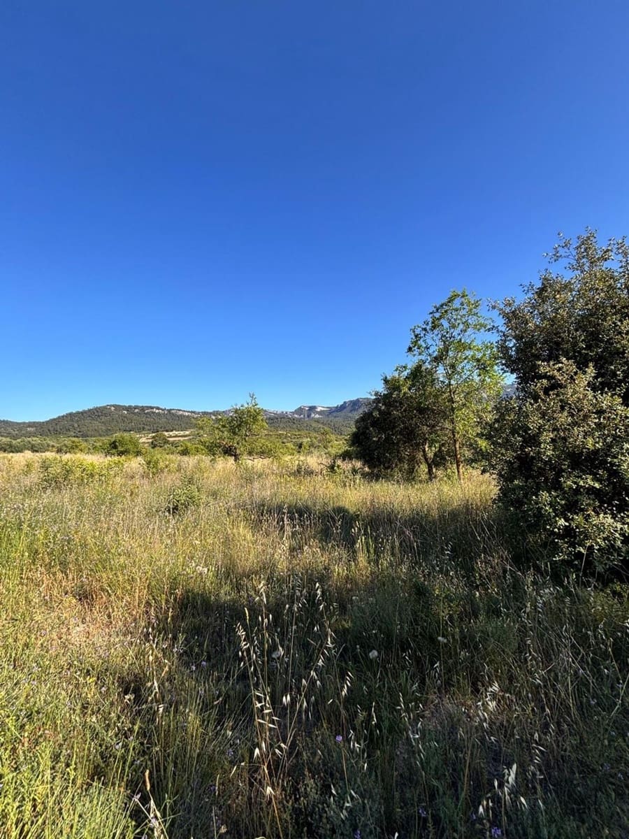 Terreno Non Edificato in vendita in Tivissa - 14.000 € (Rif: 9872979)