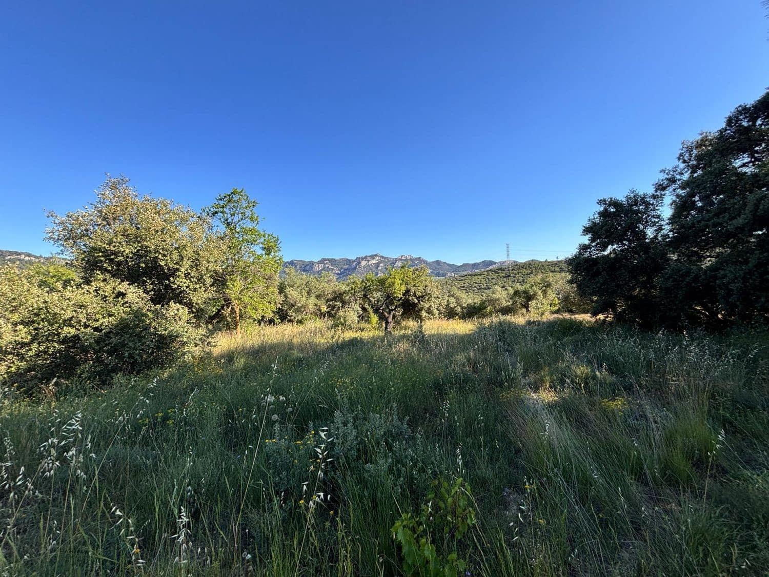 Terreno Non Edificato in vendita in Tivissa - 14.000 € (Rif: 9872979)