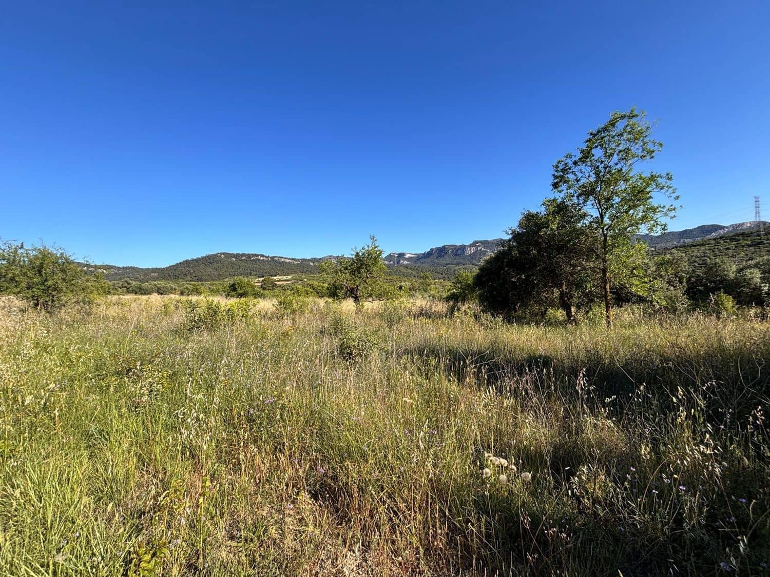 Terreno Non Edificato in vendita in Tivissa - 14.000 € (Rif: 9872979)