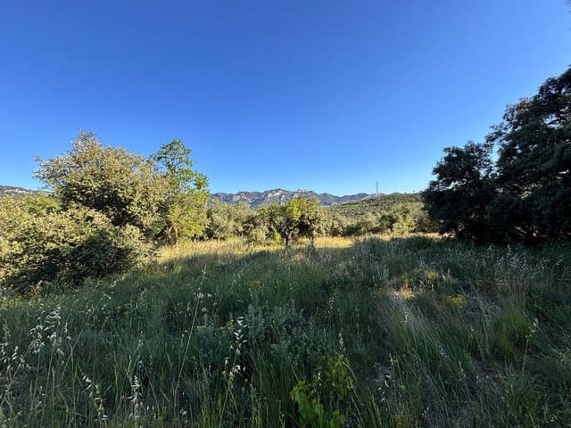 Terreno Non Edificato in vendita in Tivissa - 14.000 € (Rif: 9872979)