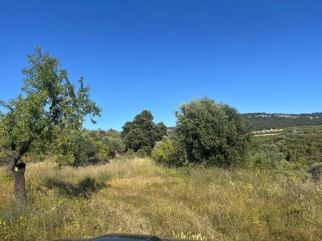 Terreno Non Edificato in vendita in Tivissa - 14.000 € (Rif: 9872979)