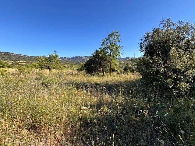 Terreno Non Edificato in vendita in Tivissa - 14.000 € (Rif: 9872979)