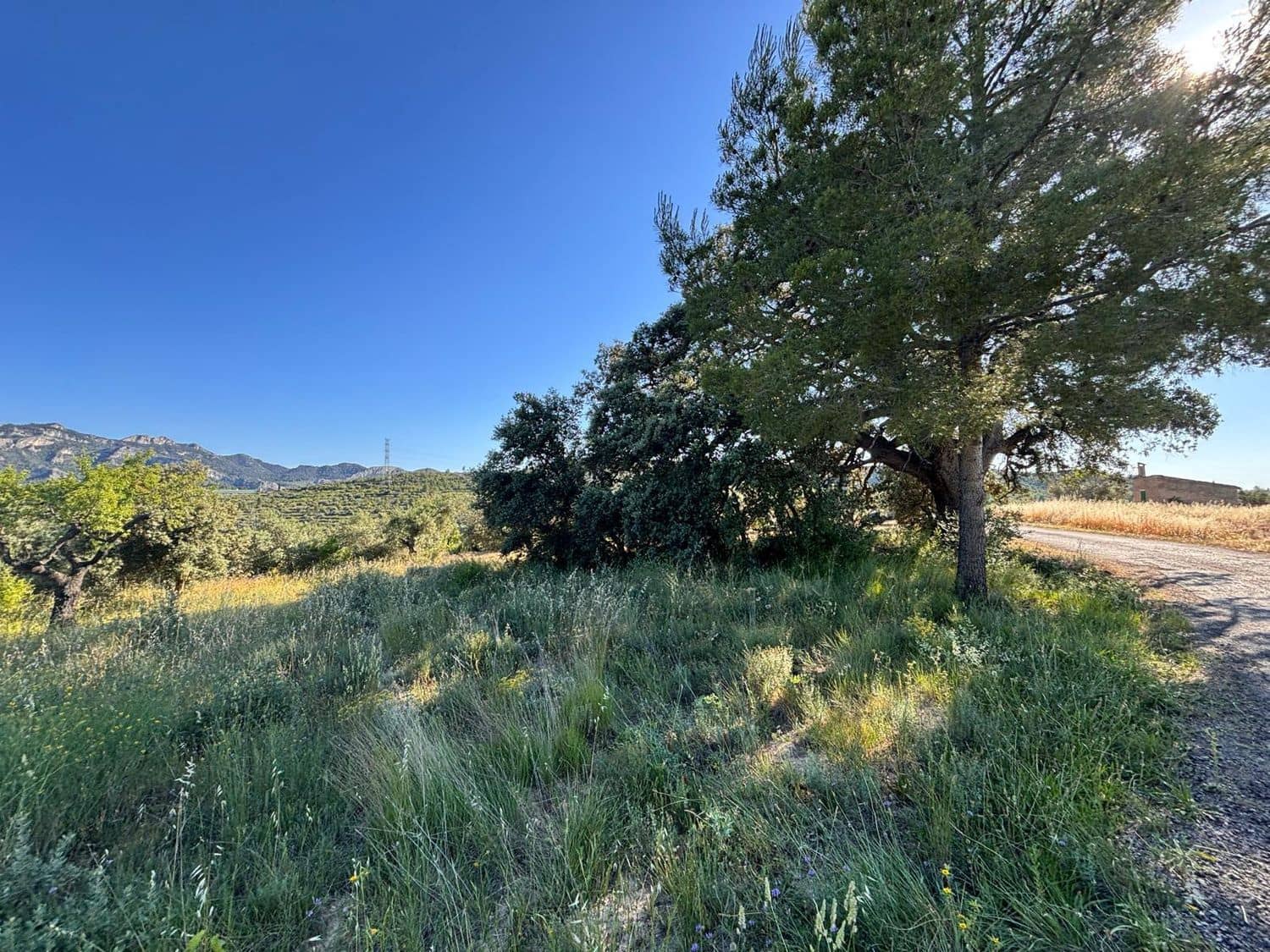 Terreno Non Edificato in vendita in Tivissa - 14.000 € (Rif: 9872979)