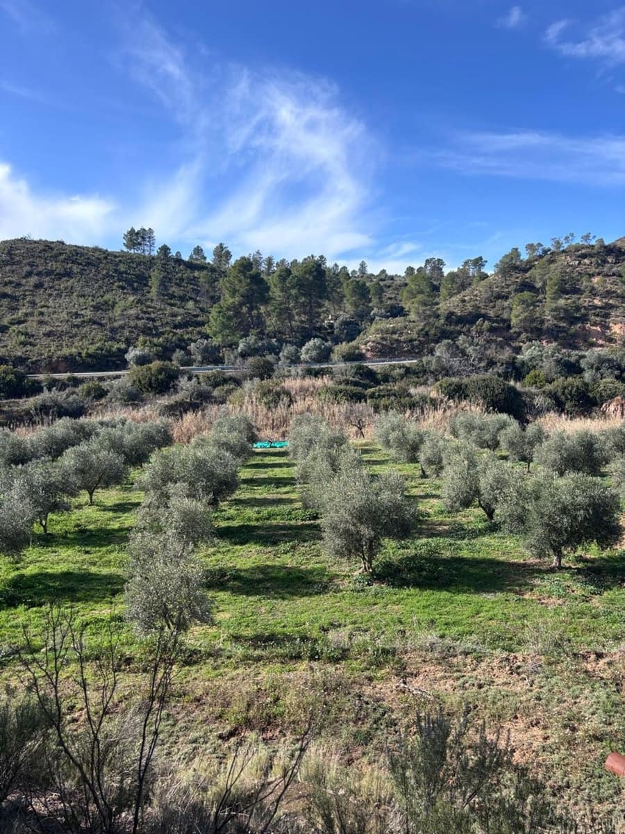 1 bedroom Finca/Country House for sale in Flix with garage - € 33,000 (Ref: 9875545)