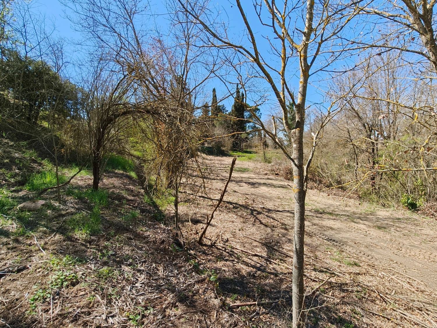 4 bedroom Finca/Country House for sale in Falset with garage - € 160,000 (Ref: 9898904)