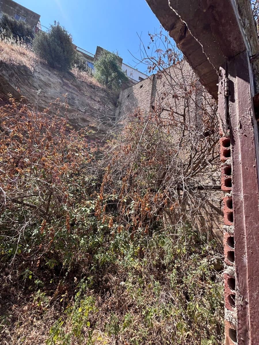 Undeveloped Land for sale in Flix - € 15,000 (Ref: 9956682)
